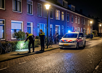 Opnieuw kat beschoten met pijl: politie start buurtonderzoek